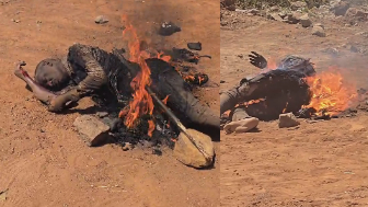 Bandit Set Ablaze By Mob Suffers In Flames