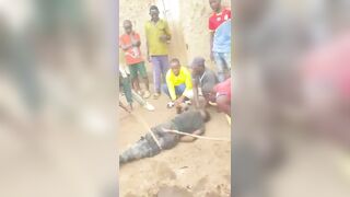 Man Clubbed For Stealing  in Refugee Settlement