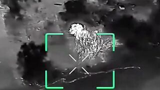 The Orc survived an attack by 11 drones until he was eliminated by the 12th drone