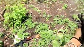 A short compilation of the brutality of war