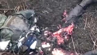 A short compilation of the brutality of war