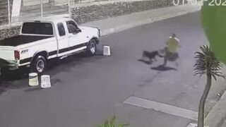 Elderly Woman Attacked By Dogs In Mexico