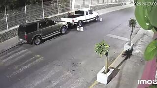 Elderly Woman Attacked By Dogs In Mexico