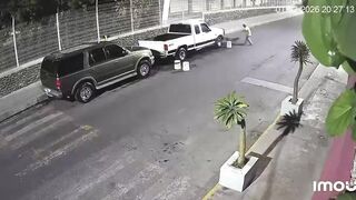 Elderly Woman Attacked By Dogs In Mexico