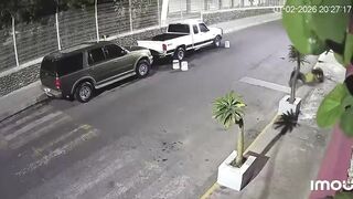 Elderly Woman Attacked By Dogs In Mexico