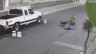 Elderly Woman Attacked By Dogs In Mexico