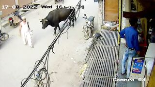 Only In India Compilation Part 1