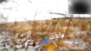 Minus 45 Ukrainians