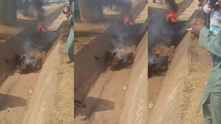 Thieves pay ultimate price