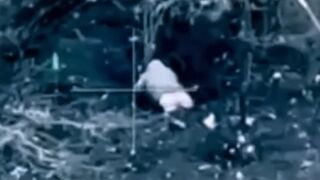 Vsushnik's ass was torn to pieces like a British flag