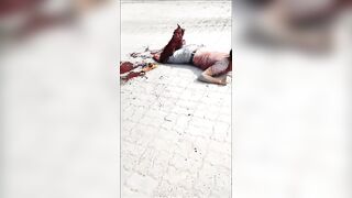 Destroyed Legs Compilation
