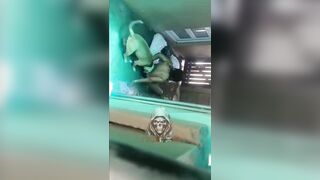 Woman in underwear attacked by Pit Bull