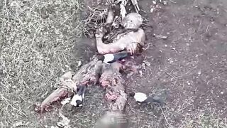 UKRAINE DEATH COMP CXXXIX
