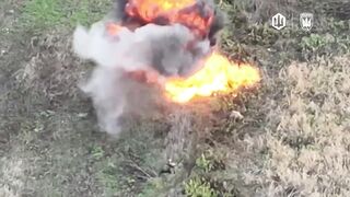UKRAINE DEATH COMP CXXXIX