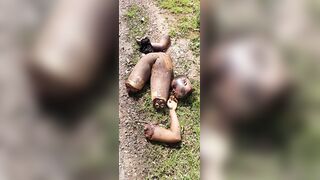 Random Gore Pictures Compilation Part 3
