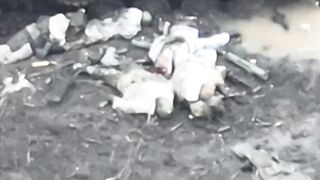 UA drone records dozens of dead Orcs near Ivanovka