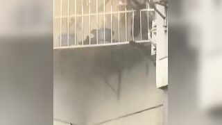 Escape From Nightmare