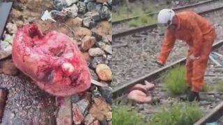 Man Jumped On Tracks And Ripped In Pieces By Train {FULL}