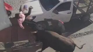 Six Injured After Bull Runs Loose On Streets In Queretaro