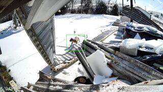 Woman Gets Crushed By Carport in Tennessee