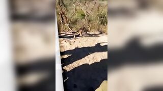 Cartel sicarios use a drone to carry enemy’s decapitated head