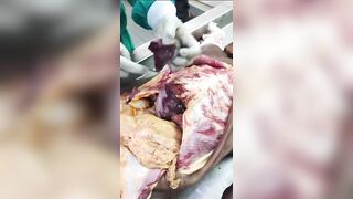 Indian old man autopsy