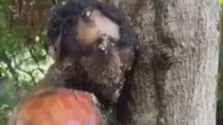 Macabre Find in the Jungle