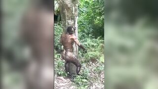 Macabre Find in the Jungle