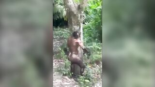 Macabre Find in the Jungle