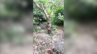 Macabre Find in the Jungle
