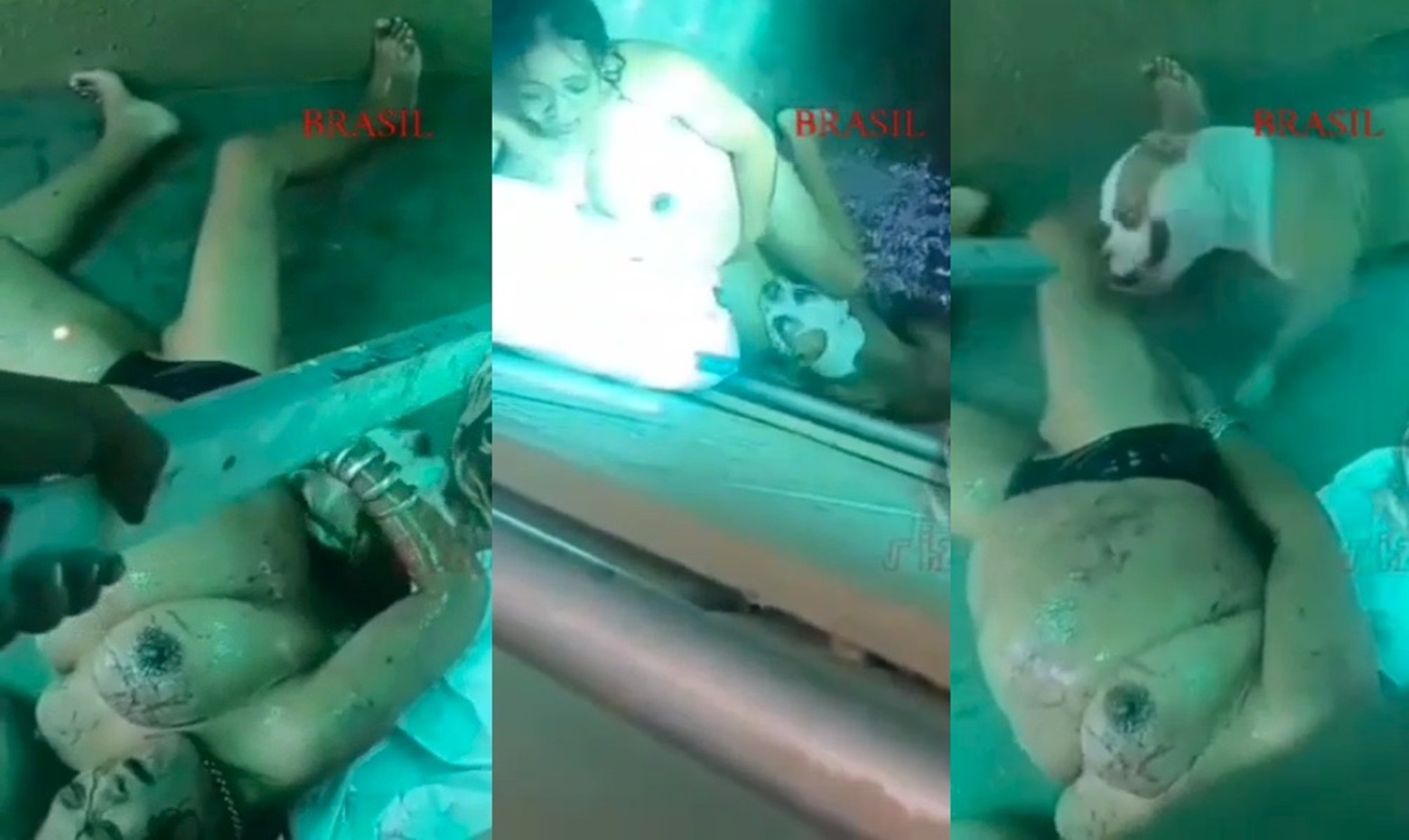 Woman Mauled by Her Own Pitbull In Cape Town (New Footage)