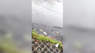 Minus Two In The Philippines
