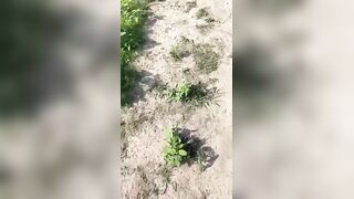 Man Beheaded By Gang And Dumped In Nature