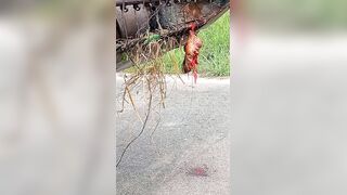 Motorcyclist's Face Was Torn Off After Crashing Into Combine Harvester