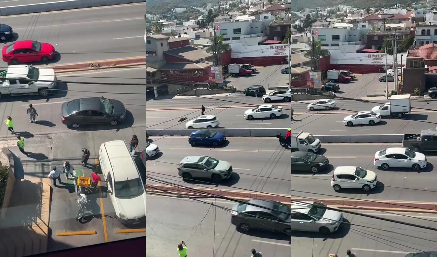 Playing In Traffic Never Goes Well (3rd Angle)