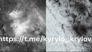 Ukrainian drone team with thermal destroying invaders