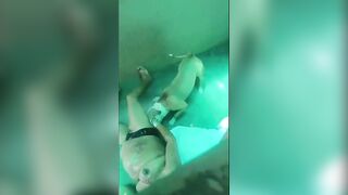 Woman Mauled by Her Own Pitbull (Clean Version)