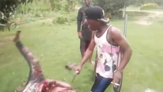 Black Man In Africa Getting His Arm Cut Off- [Old YNC video]