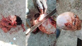 Bloodthirsty Bastards Showing Off Their Trophy