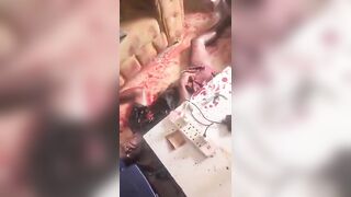 Man  posted message on his WhatsApp status indicating his intention to end his life