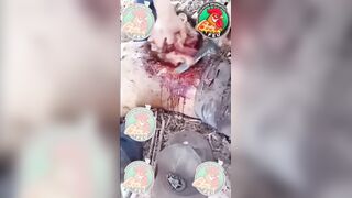 Cartel Skinning Dead Dude's Face
