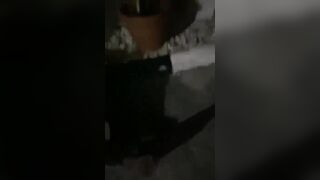 Property Invader Welcomed By Angry Doggos