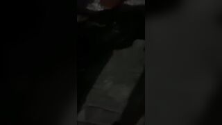 Property Invader Welcomed By Angry Doggos