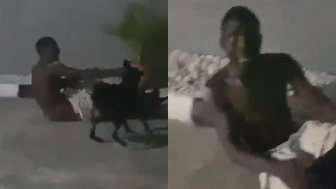 Property Invader Welcomed By Angry Doggos