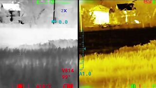 Ukrainian Sniper Eliminate 3 Russian Soldiers