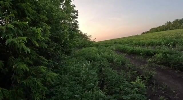 Pro-UA Chechen volunteer fighter shooting at, and killing Russian biker