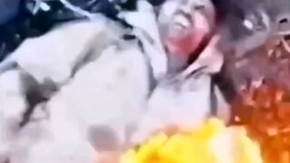 A short compilation of the brutality of war