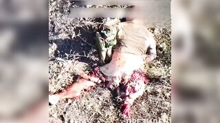 A short compilation of the brutality of war
