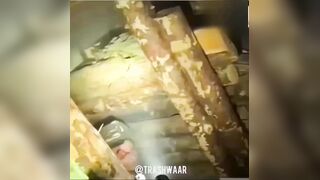 A short compilation of the brutality of war