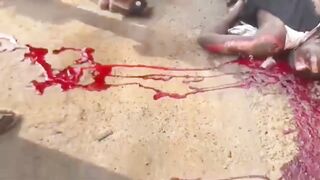 Man Ran Over, Killed By Van In Africa